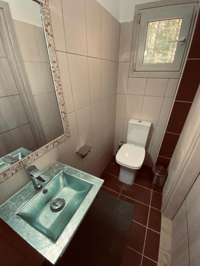 PotamósRiver Houseアパートメント エクステリア 写真